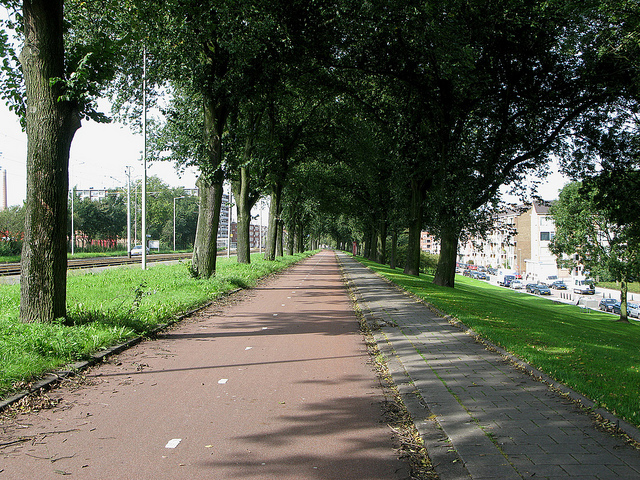 100-dyke-path-rotterdam